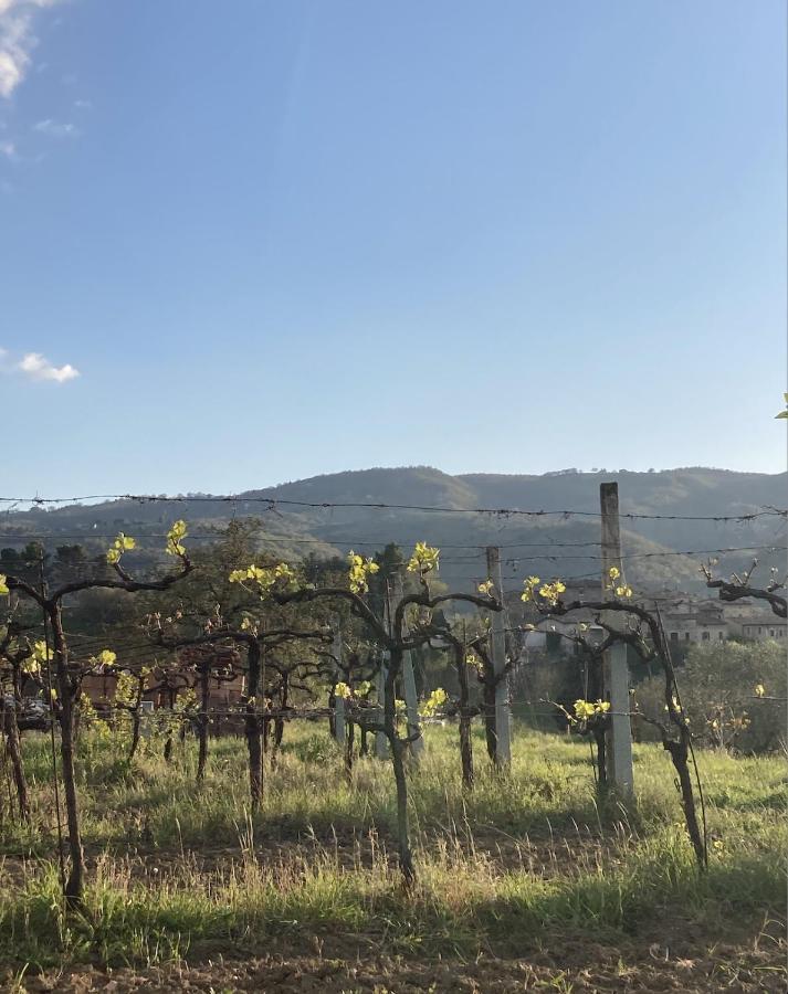 Un Posto Bed and Breakfast Bevagna Buitenkant foto